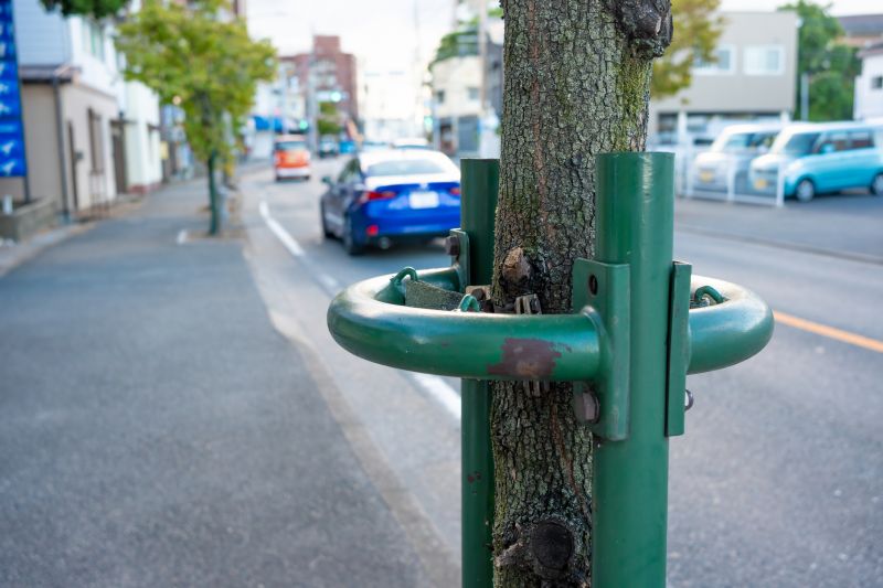 Reduces risk of falling