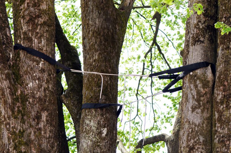 Encourages upright tree growth