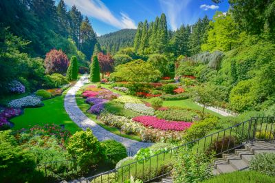 Landscape Design Service