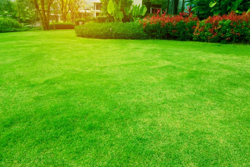 Landscaping Maintenance